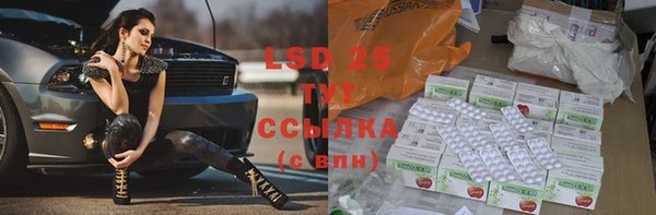 PSILOCYBIN Нефтегорск