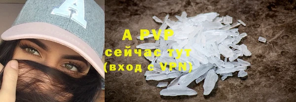 PSILOCYBIN Нефтегорск