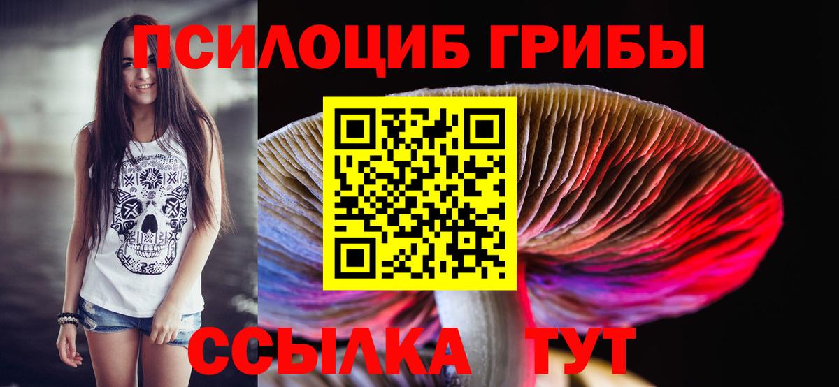 Печора  где купить наркотик  Вход с VPN  Галлюциногенные грибы MAGIC MUSHROOMS  Псилоцибиновые грибы MAGIC MUSHROOMS 