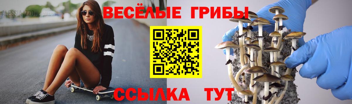 Галлюциногенные грибы прущие грибы Печора